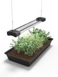 BoostGro LED Seed Starter Grow Light Full Spectrum Linkable 5000k Daylight + 660nm Red + 450nm Blue Indoor Plant Lighting Fixture (2 FT, Black) by DYMOND