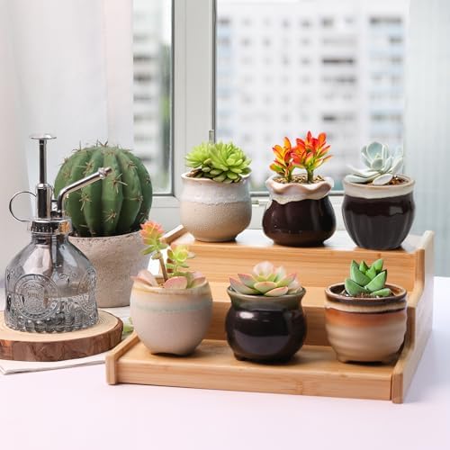 T4U Mini Ceramic Succulent Pots, Small Gift Planters, Retro Decor Set of 12 - Image 5