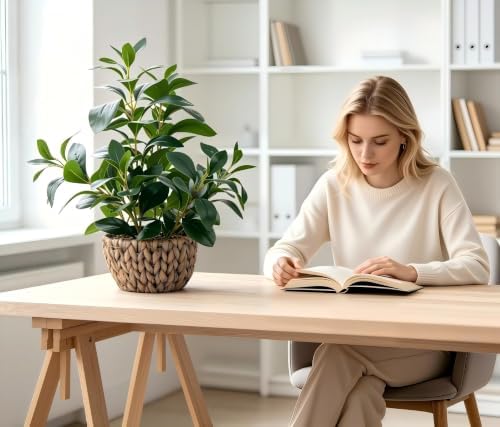 AlphaAcc Fake Indoor Ficus Plant in Rattan Basket Planter Home Office Decor - Image 6