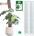 Plastic Moss Pole for Monstera and Climbing Plants by Growasplant%E2%80%94Botanicalhometextilesdesignedfromrealspecies