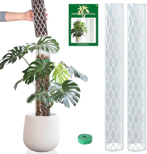 Plastic Moss Pole for Monstera and Climbing Plants by Growasplant%E2%80%94Botanicalhometextilesdesignedfromrealspecies