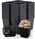150 Packs Square Nursery Pots for Plants 2.2 Inch Seedling Pots by Unknown