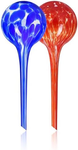 Plant Watering Globes Set of 2, Large - Glass Self Watering Globes by MissionGallery