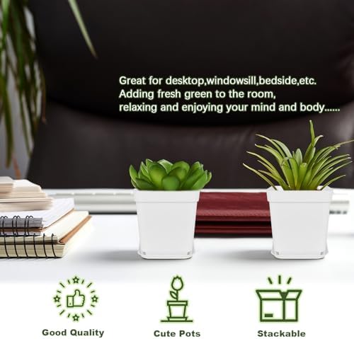 Anyumocz 24Pcs 3" Square Plastic Plant Pots,White Nursery Pots with Saucers,Seedling Nursery Transplanting Planter Container for Plants,Garden,Flower,Home,Office,Balcony Decor,Indoor,Outdoor - Image 5