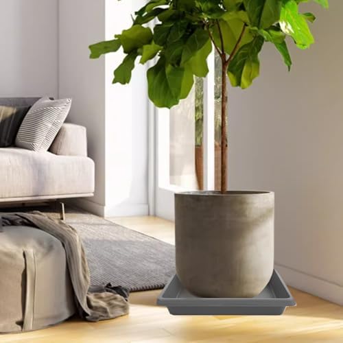 Square Plant Saucer 14 Inch 2 Pack, 6 8 10 12 13 16 18 20 Durable Plastic Plant Trays for Pots-Indoor Outdoor, Durable and Thicker Large Plant Drip Trays, Flower Planter Saucers for Potted Plants - Image 7