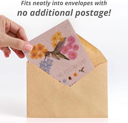 Bentley Wildflower Mix, Pre Filled Hummingbird Packets, 25 Annual Flower Packs, Perfect Eco-Friendly Gift for DIY Gardeners or New Homeowners, Non GMO Seeds - Image 3