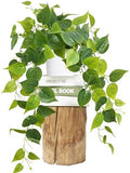 Fake Plants, Artificial Plants Indoor, 34" Fake Hanging Pothos Vines, 1Pc by Waipfaru