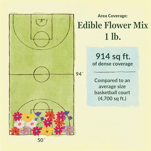 Ferry-Morse Edible Flower Bulk Wildflower Seeds, 178,000+, 1 lb - Image 6