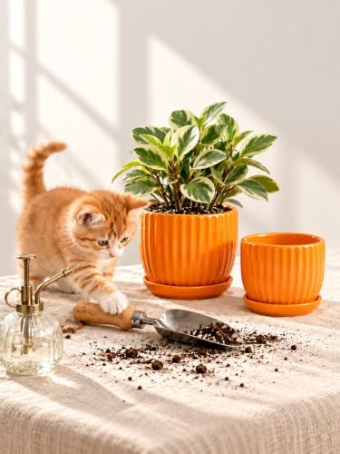 4/5/6 Inch Ceramic Pots for Plants Indoor Drainage Saucer Gifts for Mom - Image 6