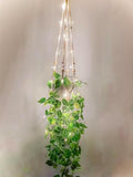 2 Packs Fake Hanging Plant with lights Artificial Plants with Pots for Home Decor Macrame Plant Hanger with Faux Vines Greenery for Bedroom Bathroom Room Ceiling Wall Boho Decor Indoor Outdoor by Comtelek