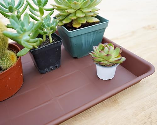 VUWEZ 4 Pack Plant Saucer Tray Rectangular, Plant Saucers for Indoors, Heavy Sturdy Plastic Plant Drainage Trays, Plant Drip Trays for Pots, Seed Starter Growing Tray (11 x 9 inch, Chocolate) - Image 6