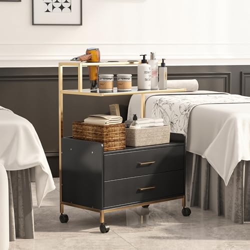 Salon Rolling Trolley with Lockable Wheels Gold Barber Cart - Image 4