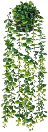 YAYUZEST 24" Fake Hanging Eucalyptus Plant for Bathroom Wall Art Decor by Unknown