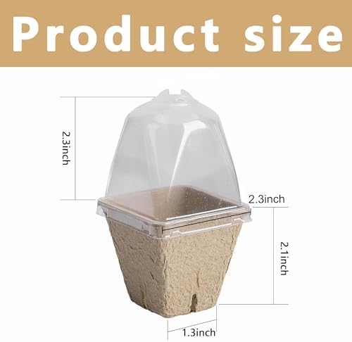 PURPLE STAR 1N 20 Pcs Biodegradable Nursery Pots with Humidity Dome- 2.3 Inch Square Seeding Starter Pot for Planting- Peat Pots for Seedlings Garden Vegetable Flower Germination - Image 2