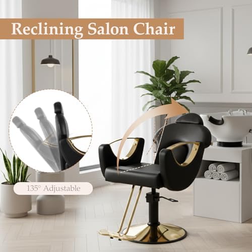 Black Salon Chair for Hair Stylist, Professional Barber Chairs Barbershop Hair Stylist Chair with Heavy Duty Hydraulic Pump, 360° Braiding Styling Hairdresser Chairs for Spa Home Euipment, Cold Black - Image 3