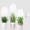3 Pack Halo Grow Light for Indoor Plants, 6000K 48 LEDs Full Spectrum Plant Lamp with Dimmable & Timer 4/8/12/18Hrs for Succulents, Mini Bonsai, Small Plants, Height Adjustable by GYTF