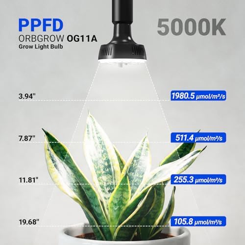 Barrina OG11A Grow Light Bulbs for Indoor Plant, 5000K 11W, 2 Packs, Black - Image 2