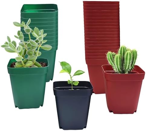RooTrimmer Square Plastic Nursery Pot 3" 120 Pcs Deep Succulent Pots Small Flower Planter Seeds Starter Pots with Drainage (Green,Black,Red 40pcs Each,2.7Inches) by RooTrimmer