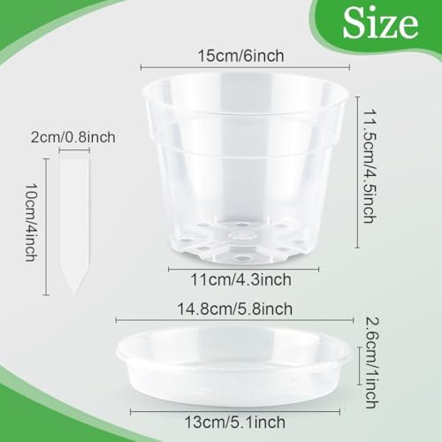 BTPLASTIK Clear Plastic Nursery Pots for Plants, 6 Inch Transparent Plant Pot with Drainage Holes, Flower Pots with Saucers, Seed Starter Pots with 15 Pcs Plant Labels, Gardening Gifts - Image 2