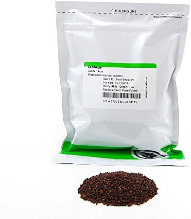 Mountain Valley Seed Co Golden Acre Cabbage Seeds 1 Lb - Non-GMO Heirloom by MountainValleySeedCompany