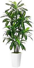 ASTIDY Artificial Plant 6FT Dracaena Fake Tree with White Tall Planter by ASTIDY