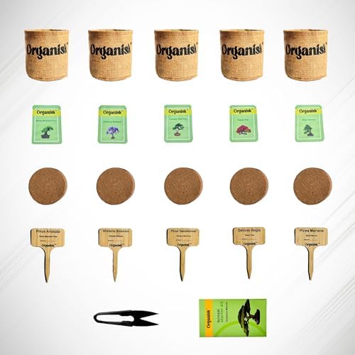Bonsai Starter Kit - 5 Unique Tree Types, Special DIY Garden Hobby Kits - Great for Plant Lovers, for Kids, Men, Women, and Bonsai Enthusiasts - Image 2