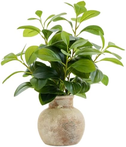 AlphaAcc Fake Faux Potted Plant Ficus Ceramic Pot Rustic Home Decor by AlphaAcc
