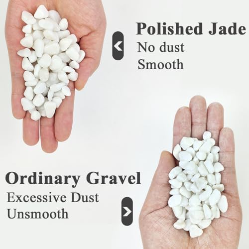 YISZM 5LB Succulent and Cactus Gravel Pebbles, 3/8 Inch White Stones - Image 2