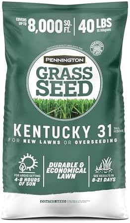 Pennington Kentucky 31 Fescue 40 LB Tall Fescue Grass Seed, Grass Seeds for Lawn by Pennington