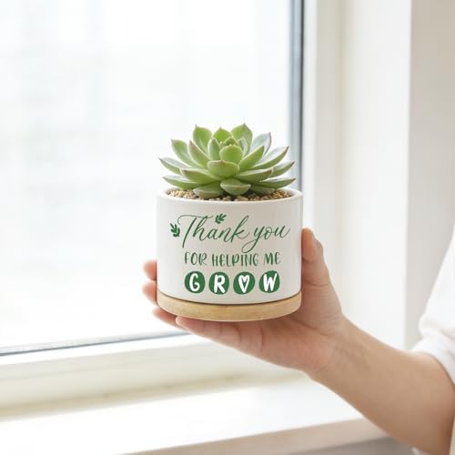 DOFAFALA Thank You for Helping Me Grow - Funny White 3.5 inch Ceramic Planter Pot with Bamboo Tray, Cactus Succulent Pots, Teachers Appreciation Gift for Daughter Son Friends - Image 3