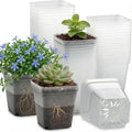 RooTrimmer 60 Pcs Clear Square Nursery Pots 4 Inch, Reusable Seedling Pots with Drainage Holes, Transparent Small Plant Potting Pot Containers for Seedlings Microgreens, Flowers, Indoor Gardening by RooTrimmer