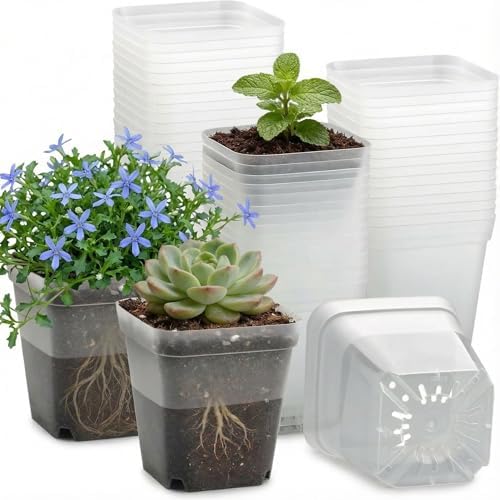 RooTrimmer 60 Pcs Clear Square Nursery Pots 4 Inch, Reusable Seedling Pots with Drainage Holes, Transparent Small Plant Potting Pot Containers for Seedlings Microgreens, Flowers, Indoor Gardening by RooTrimmer