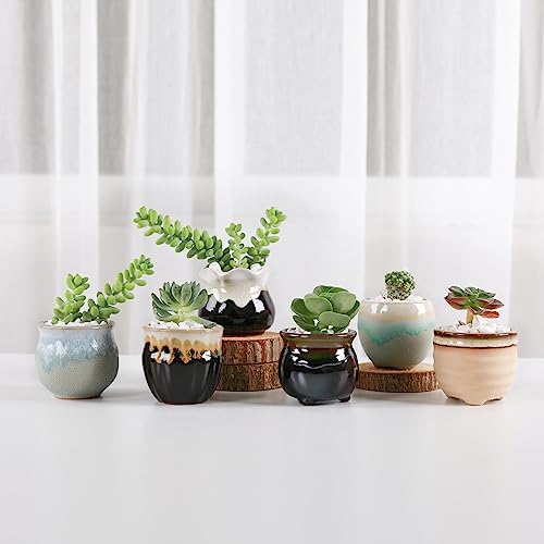 T4U Mini Ceramic Succulent Pots, Small Gift Planters, Retro Decor Set of 6 - Image 4