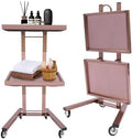 2 Tier Metal Rolling Cart, Stainless Steel Salon Tray with Wheels, Foldable Utility Carts Quiet Lockable Wheels, Folding Rolling Salon Tray Trolley for Tattoo,Hair Stylist by GUIAFUHYE