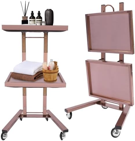 2 Tier Metal Rolling Cart, Stainless Steel Salon Tray with Wheels, Foldable Utility Carts Quiet Lockable Wheels, Folding Rolling Salon Tray Trolley for Tattoo,Hair Stylist by GUIAFUHYE
