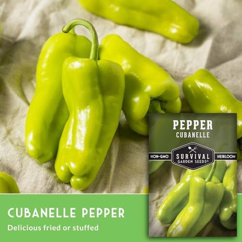 Cubanelle Pepper Seeds for Planting - 2 Packs - Image 3
