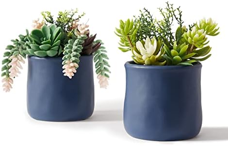 Artificial Succulent in Ceramic Pots, 2 Packs Fake Plants by Astridiadecorateyourlife