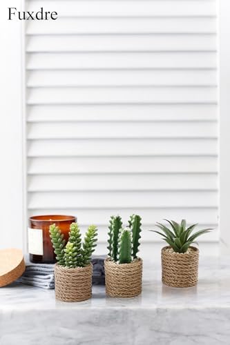 3-Pack Artificial Succulent Plants in Vintage Plastic Pots - Fake Waterproof Succulents Decor for Home, Office, Desk, Shelf - Low Maintenance Indoor Greenery for Bathroom, Living Room, Table Decor - Image 4
