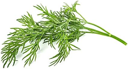 Click & Grow Smart Garden Dill Plant Pods, 9-Pack - Image 4