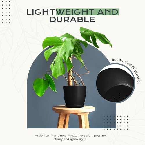 Plant Pots Indoor with Drainage, 10 Pack Multi-Size Planters Set, Black - Image 6