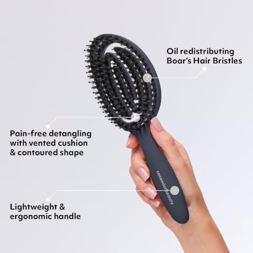 The Boar's Hair Bristle Wellness Brush | Conditions, Detangles, Boosts Scalp Circulation, Lightweight Flexible Design, Vented Cushion, Pain-Free, Helps Dry Damaged Hair (Jeju Charcoal) - Image 3