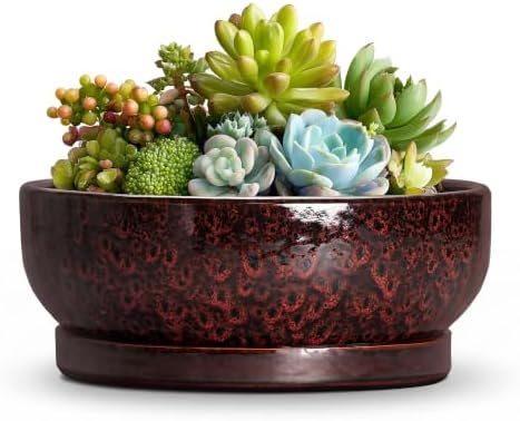 6 Inch Ceramic Succulent Planters with Saucer, Red Leopard by Wliror