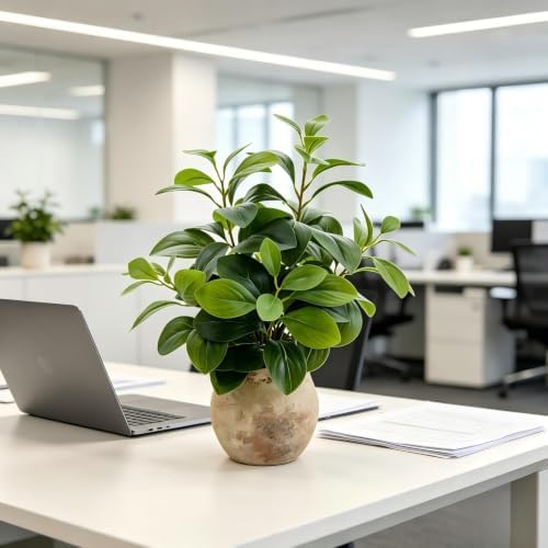AlphaAcc Fake Faux Potted Plant Ficus Ceramic Pot Rustic Home Decor - Image 6