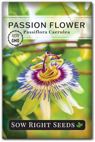 Sow Right Seeds - Passion Flower Seed for Planting Outdoor Passionflower by SowRightSeeds