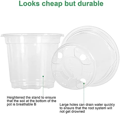 MIXC Nursery Pots with Humidity Dome, 4" Plant Pot 30 Pack, Transparent - Image 5