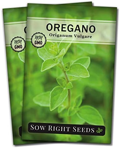 Sow Right Seeds - Oregano Seed for Planting a Perennial Herb Garden 2pk by SowRightSeeds