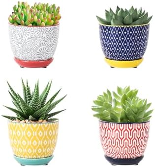 Selamica Ceramic Succulent Pots with Drainage Holes, Small Flower Pots 3.5 Inch Plant Pots for Indoor Plants with Saucers, Cactus Succulent, Home Decor, Set of 4, Assorted Colors by Selamica