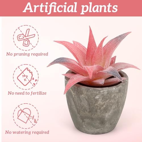 Woration 6Pcs Small Artificial Pink Succulent Set Fake Flocking Succulents Plants Potted Floral Arrangement for Shelf Office Home Desk Decorations - Image 5