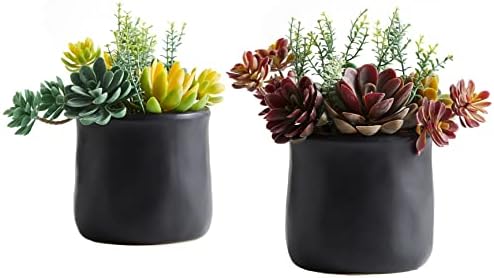 2pack Fake Plants in Ceramic Black Pots Artificial Succulents by Astridiadecorateyourlife
