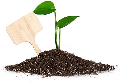 OBTANIM 75 Pack Bamboo T-Type Plant Labels with A Marker Pen, Garden Markers Sign Plant Tags for Seedling Potted Herbs Flowers Vegetables - Image 3